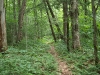 Red Horse Trail along Salmon Lake